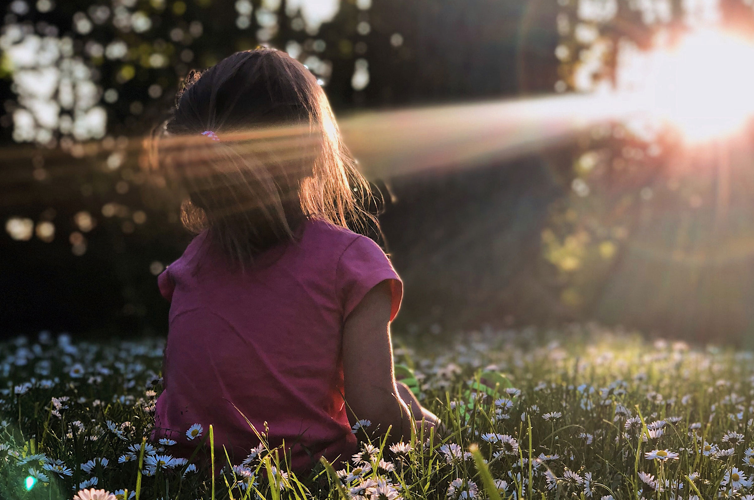 Bilde av jente i blomstereng som ser på sola